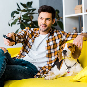 How to Find a Pet Sitter Image