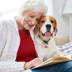 Cozy up with your pet image