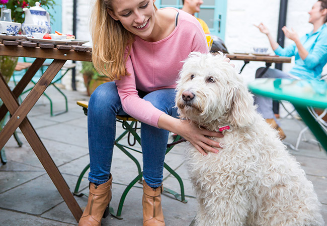 Dining delights for you and your favorite pet