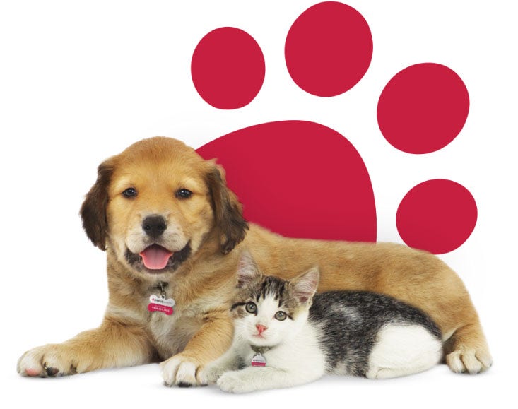 Puppy_Kitten_Paw.png